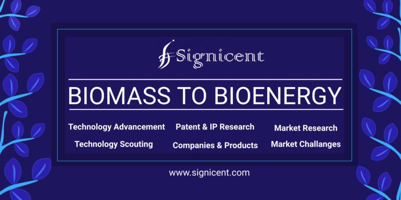 Biomass & Waste-to-Bioenergy Generation Report Sustainable Innovations to Power Global Market Signicent