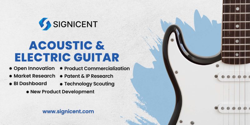 Acoustic & Electric Guitar By Signicent