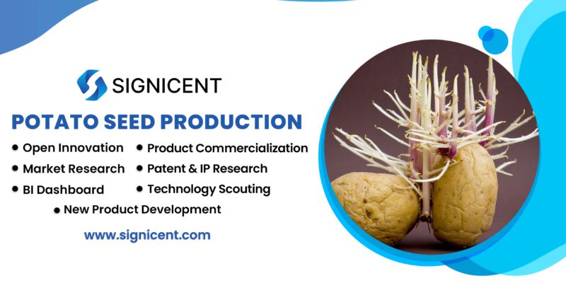 Potato Seed Production Signicent